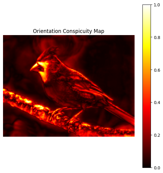 Orientation Conspicuity Map